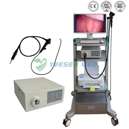 ENDOSCOPIO